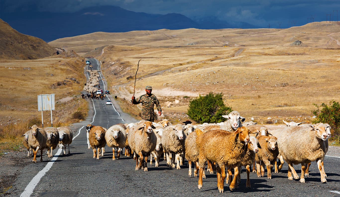 Rural Tour to Armenia