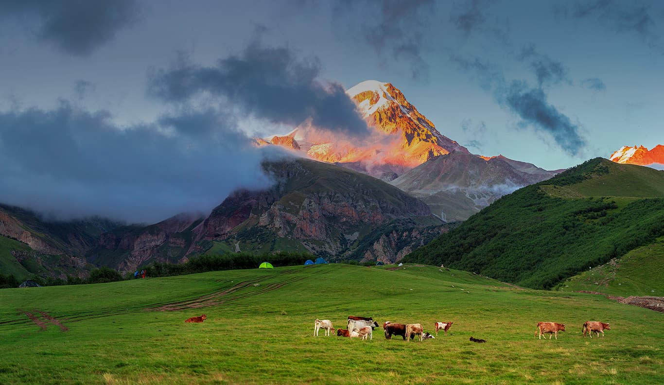 Tour to Azerbaijan, Georgia and Armenia in 31 days
